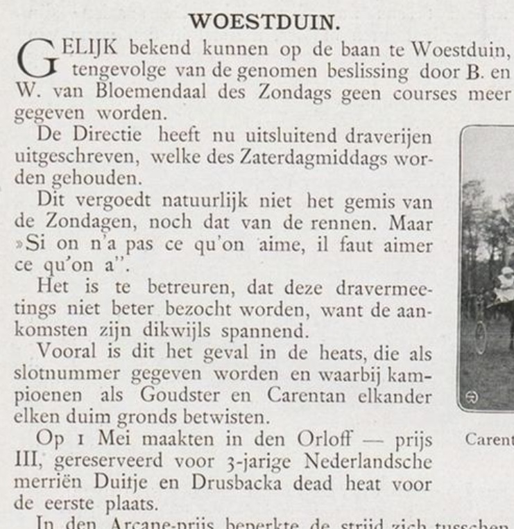 Woestduin